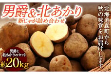 【先行予約】【新じゃが】 北海道の男爵&北あかり約20kg （2023年8月下旬～順次お届け） 野菜 ジャガイモ じゃがいも きたあかり 北あかり だんしゃく 男爵いも フライドポテト 北海道 セット mr1-0157