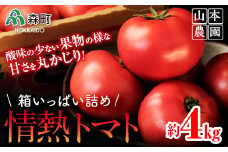 【先行予約】箱いっぱい詰め！情熱トマト 約4kg（9月下旬より順次発送）《山本農園》 森町 トマト 北海道産 ふるさと納税 北海道 mr1-0137