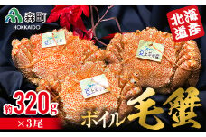 【北海道産】ボイル毛蟹 （320g前後×3尾） ＜上平水産＞ かに カニ 蟹 ガニ がに 森町 ふるさと納税 北海道 毛蟹 毛かに 毛ガニ 毛カニ mr1-0135