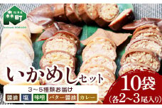 【先行予約】【各種】いかめし10袋セット【森町銘産】（各2～3尾入り） 《海鮮問屋　株式会社　瑞宝》 森町 いかめし 烏賊めし イカ飯 惣菜 いか イカ 烏賊 レトルト 簡単調理 一人暮らし ふるさと納税 北海道 mr1-0704