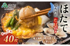 【先行予約】噴火湾産冷凍ほたて片貝4袋（40枚入）のセット＜海鮮問屋　株式会社　瑞宝＞ 森町 ほたて 帆立 ホタテ 海産物 魚貝類 ふるさと納税 北海道 mr1-0141