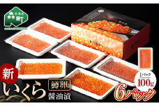 新いくら醤油漬け 100g×6パック（鱒卵） いくら イクラ 小分け 醤油漬け 鱒卵 森町 いくら醤油漬け しょうゆ漬け 海産物 加工品 ふるさと納税 北海道 ＜ワイエスフーズ＞ mr1-0808-1