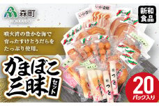 かまぼこ三昧セット（20パック入り） 【新和食品】 森町 大天揚げ 小天揚げ 角あげ やさい天 たこ天 いか姿焼 ちくわ だんご つと 角焼 赤伸 蒲鉾 カマボコ ふるさと納税 北海道 mr1-0049
