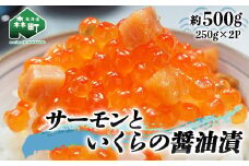 サーモンといくらの醤油漬 約500g（250g×2パック） ＜ワイエスフーズ＞ いくら醤油漬け 海鮮丼 サケ さけ 鮭 いくら イクラ しょうゆ漬け 海産物 セット 森町 ふるさと納税 北海道 mr1-0425