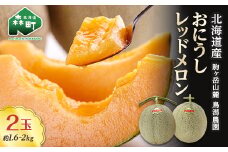 ★今季出荷分受付中★おにうしレッドメロン約1.6kg～2kg×2玉《鳥潟農園》 森町 赤肉 メロン 果物 レッドメロン 北海道産 ふるさと納税 北海道 mr1-0202