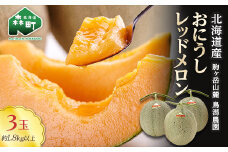 ★今季出荷分受付中★おにうしレッドメロン約1.8kg以上×3玉《鳥潟農園》 森町 赤肉 メロン 果物 レッドメロン 北海道産 ふるさと納税 北海道 mr1-0201