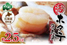 【先行予約】北海道森町産 活ホタテ3年貝 2.5kg（約10-15枚）（2024年2月以降発送）＜道産ネットミツハシ＞ 森町 ほたて 帆立 ホタテ 活ホタテ 活帆立 海産物 魚貝類 ふるさと納税 北海道 mr1-0439