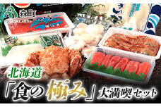 北海道「食の極み」大満喫セット＜ワイエスフーズ＞ いくら醤油漬け 森町  いくら いくら醤油漬け 毛ガニ ぼたん海老 たらこ 冷凍ほたて貝柱 いかの一夜干し いかそうめん 海鮮セット ふるさと納税 北海道 mr1-0185