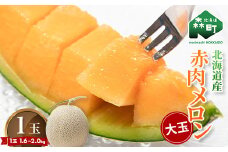 北海道森町産赤肉メロン大玉 1玉（約1.6～2kg）（2025年6月上旬～8月上旬頃順次発送）＜道産ネットミツハシ＞  森町 メロン 果物 赤肉 北海道産 ふるさと納税 北海道 mr1-0815