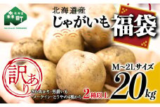 【先行予約】【訳あり】北海道森町産 じゃがいも福袋20kg （2025年8月上旬～12月中旬までに順次お届け） 野菜 ジャガイモ じゃがいも きたあかり だんしゃく 男爵いも とうや メークイン ポテト 北海道 セット 詰め合わせ 福袋 送料無料 mr1-0145