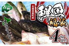 北海道森町産 噴火湾とれたて鮮魚福袋4kg以上 ＜道産ネットミツハシ＞ アブラコ（アイナメ） カレイ類 カジカ ソイ ガヤ ニシン ハタハタ フクラゲ サヨリ 福袋 鮮魚 海鮮 セット 焼き魚 煮付け 鍋 ふるさと納税 北海道 森町 mr1-0149