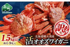 【訳あり】北海道噴火湾産 活オオズワイガニ1.5kg ＜道産ネットミツハシ＞ かに カニ 蟹 ガニ がに 森町 ふるさと納税 北海道 ずわいがに mr1-0601-5