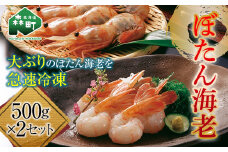 ぼたん海老 大サイズ 500g×2セット（1kg） ぼたんえび ぼたん海老 北海道 海産物 魚介 魚介類 mr1-0165