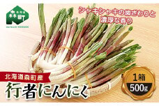 北海道森町産 行者にんにく約500g 野菜 山菜 ぎょうじゃにんにく ギョウジャニンニク 北海道 mr1-0224