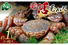 【先行予約】【訳あり】活毛がに約1kg（2-3尾入）（6月下旬～7月下旬順次お届け） ＜道産ネットミツハシ＞ かに カニ 蟹 ガニ がに 森町 ふるさと納税 北海道 毛蟹 毛かに 毛ガニ 毛カニ mr1-0230