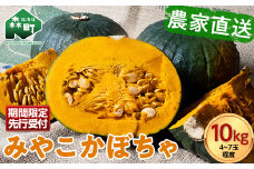 【先行予約】みやこかぼちゃ 約10kg 北海道森町産（令和7年7月下旬～8月上旬順次配送） <こうのファーム> カボチャ 南瓜 野菜 根菜 煮物 食材 スープ サラダ かぼちゃプリン 天ぷら 北海道 森町 ふるさと納税 mr1-0461