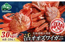 【訳あり】北海道噴火湾産 活オオズワイガニ 3.0kg ＜道産ネットミツハシ＞ かに カニ 蟹 ガニ がに 森町 ふるさと納税 北海道 ずわいがに mr1-0451-5