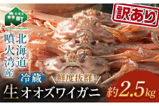 【先行予約】【訳あり】 生オオズワイガニ 約2.5kg ＜海鮮問屋　株式会社　瑞宝＞ ズワイガニ かに カニ 蟹 ガニ がに 海鮮 森町 北海道 mr1-0684