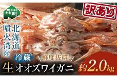 【訳あり】 生オオズワイガニ 約2.0kg ＜海鮮問屋　株式会社　瑞宝＞ ズワイガニ かに カニ 蟹 ガニ がに 海鮮 森町 北海道 mr1-1159