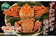 ずわいがに毛がに2尾セット 北海道森町水揚げ かに カニ 蟹 ガニ がに 森町 ふるさと納税 北海道 毛蟹 毛かに 毛ガニ 毛カニ 北海道 ズワイカニ ズワイ蟹 ズワイガニ mr1-1081