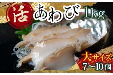 天然 活 あわび 1kg（大サイズ・7～10個）北海道噴火湾産＜物産館運営振興会((株)ハマグチ)＞ あわび 鮑 アワビ 海産物 魚貝類 ふるさと納税 北海道 森町 mr1-0293