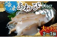天然 冷凍 あわび 300g（大サイズ・2～3個）北海道噴火湾産＜物産館運営振興会((株)ハマグチ)＞ あわび 鮑 アワビ 海産物 魚貝類 ふるさと納税 北海道 森町 mr1-0294