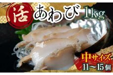 天然 活 あわび 1kg（中サイズ・11～15個）北海道噴火湾産＜物産館運営振興会((株)ハマグチ)＞ あわび 鮑 アワビ 海産物 魚貝類 ふるさと納税 北海道 森町 mr1-0295