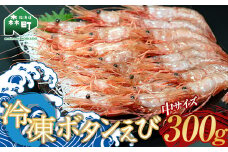 冷凍ボタンえび （中サイズ） 北海道噴火湾産 300g（12月末まで発送）＜物産館運営振興会((株)ハマグチ)＞ えび 海老 エビ 海産物 魚貝類 ふるさと納税 北海道 森町 mr1-0297