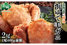 600g前後×2尾 浜ゆで毛蟹 【北海道産三特品】 〈ワイエスフーズ〉 かに カニ 蟹 ガニ がに 森町 ふるさと納税 北海道 毛蟹 毛かに 毛ガニ 毛カニ mr1-0432