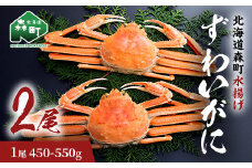 ずわいがに（450g～550g） 2尾入り 北海道森町水揚げ かに カニ 蟹 ガニ がに 森町 ふるさと納税 北海道 ずわいかに ズワイガニ mr1-0924