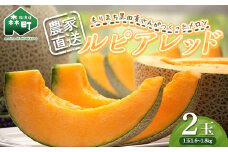 【先行予約】北海道森町産ルピアレッド 赤肉メロン「もりまち黒田貢さんがつくったメロン」2玉(1.6～1.8kg)　2025年6月～ 頃順次発送 ＜株式会社 商舎＞ メロン 赤肉 ルピアレッド 果物 北海道産 ふるさと納税 北海道 森町 mr1-0481