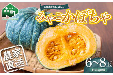 【農家直送】北海道森町産みやこかぼちゃ 6～8玉 10kg前後（8月から順次発送） mr1-0484