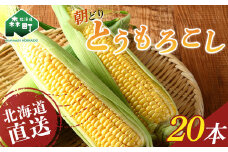 【先行予約】朝どり！北海道直送とうもろこし！ 20本前後 （2024年8月中旬～9月上旬頃に発送） <對馬ファーム> とうもろこし トウモロコシ とうきび トウキビ 唐黍 野菜 やさい 甘い 北海道 森町 ふるさと納税 mr1-0507