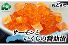 サーモンといくらの醤油漬 約250g（250g×1パック） ＜ワイエスフーズ＞ いくら醤油漬け 海鮮丼 サケ さけ 鮭 いくら イクラ しょうゆ漬け 海産物 セット 森町 ふるさと納税 北海道 mr1-0594