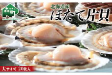 北海道産 ほたて片貝 大サイズ(20枚入) ＜ワイエスフーズ＞ 森町 ほたて 帆立 ホタテ 海産物 魚貝類 ふるさと納税 北海道 mr1-0880