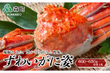 【順次発送】 ずわいがに姿 600～650g前後 1尾 ＜ワイエスフーズ＞ かに カニ 蟹 ガニ がに 森町 ふるさと納税 北海道 ずわいがに ずわいかに ズワイガニ mr1-0852-1