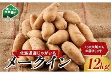 北海道産じゃがいも メークイン 12kg【2024年新じゃが】 野菜 いも イモ 芋 ポテト 料理 mr1-0701