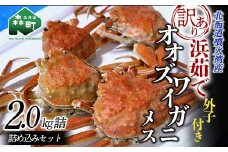 【訳あり】浜茹でオオズワイガニのメス（外子付き）2kg 詰め込みセット 北海道噴火湾産 ＜道産ネットミツハシ＞ かに カニ 蟹 がに 北海道 森町 ふるさと納税 mr1-0727