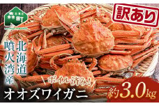 【先行予約】【訳あり】オオズワイガニ（ボイル済） 約3.0kg ＜海鮮問屋　株式会社　瑞宝＞ ズワイガニ かに カニ 蟹 ガニ がに 海鮮 森町 北海道 mr1-0765