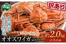 【先行予約】【訳あり】オオズワイガニのメス（ボイル済） 約2.0kg ＜海鮮問屋　株式会社　瑞宝＞ ズワイガニ かに カニ 蟹 ガニ がに 海鮮 森町 北海道 mr1-0766