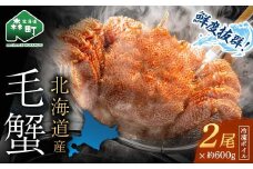 【先行予約】北海道・噴火湾産冷凍ボイル毛ガニ約600g前後×2尾 毛ガニ 毛カニ 蟹 かに かにみそ 海産物 海鮮 森町 mr1-0770