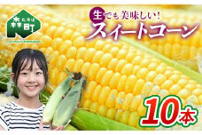 【先行予約】北海道森町産スイートコーン（イエロー）10本（2025年7月上旬～9月中旬までに順次発送） とうもろこし トウモロコシ とうきび トウキビ 野菜 やさい 北海道 たっぷり 甘い 期間限定 ふるさと納税 森町 mr1-0872