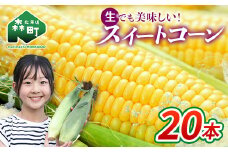 【先行予約】北海道森町産スイートコーン（イエロー）20本（2025年7月上旬～9月中旬までに順次発送） とうもろこし トウモロコシ とうきび トウキビ 野菜 やさい 北海道 たっぷり 甘い 期間限定 ふるさと納税 森町 mr1-0146