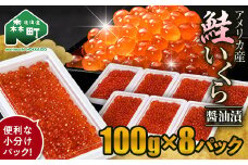 【先行予約】鮭 いくら 小分け 800g（100g×8）アメリカ産 ＜海鮮問屋　株式会社　瑞宝＞ いくら イクラ 小分け 醤油漬け 森町 いくら醤油漬け しょうゆ漬け 海産物 加工品 ふるさと納税 北海道 mr1-0869