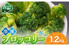 小分け カット済み ブロッコリー 冷凍 1.2kg  北海道森町産 野菜 おかず お弁当 便利 小分け カット済み ブロッコリー 冷凍  mr1-0942