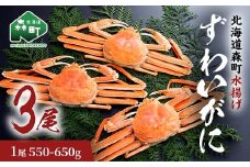 ずわいがに（550g～650g） 3尾入り 北海道森町水揚げ かに カニ 蟹 ガニ がに 森町 ふるさと納税 北海道 ずわいかに ズワイガニ mr1-0922