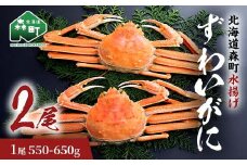ずわいがに（550g～650g） 2尾入り 北海道森町水揚げ かに カニ 蟹 ガニ がに 森町 ふるさと納税 北海道 ずわいかに ズワイガニ mr1-0921