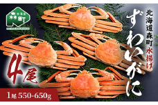 ずわいがに（550g～650g） 4尾入り 北海道森町水揚げ かに カニ 蟹 ガニ がに 森町 ふるさと納税 北海道 ずわいかに ズワイガニ mr1-0923