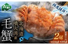 【訳あり】北海道・噴火湾産冷凍ボイル毛ガニ約250g前後～約300g前後×2尾 新物 2025年6月～7月水揚げ 毛ガニ 毛カニ 蟹 かに かにみそ 海産物 海鮮 森町 mr1-1045