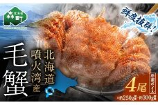 【訳あり】北海道・噴火湾産冷凍ボイル毛ガニ約250g前後～約300g前後×4尾 新物 2025年6月～7月水揚げ 毛ガニ 毛カニ 蟹 かに かにみそ 海産物 海鮮 森町 mr1-1047